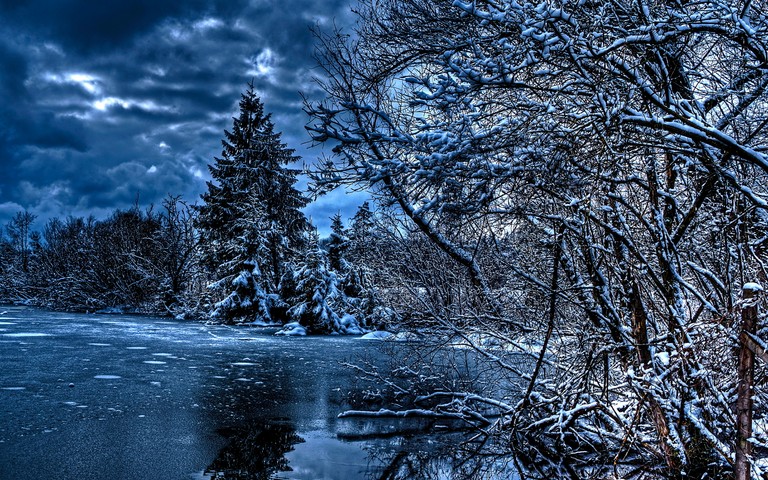 Winter Wonderland: A Breathtaking Snowy Landscape