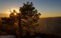 Descarga nuestro hermoso fondo de pantalla del atardecer en Yosemite