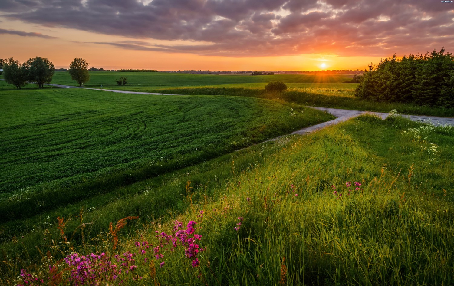 Download Our Gorgeous Sunrise Prairie Wallpaper