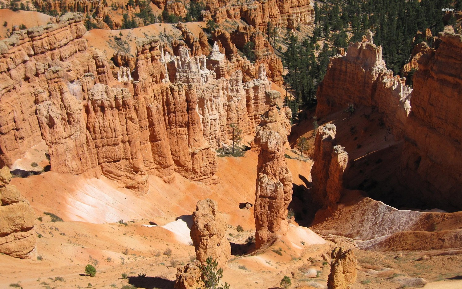 Explora la Belleza del Parque Nacional Bryce Canyon