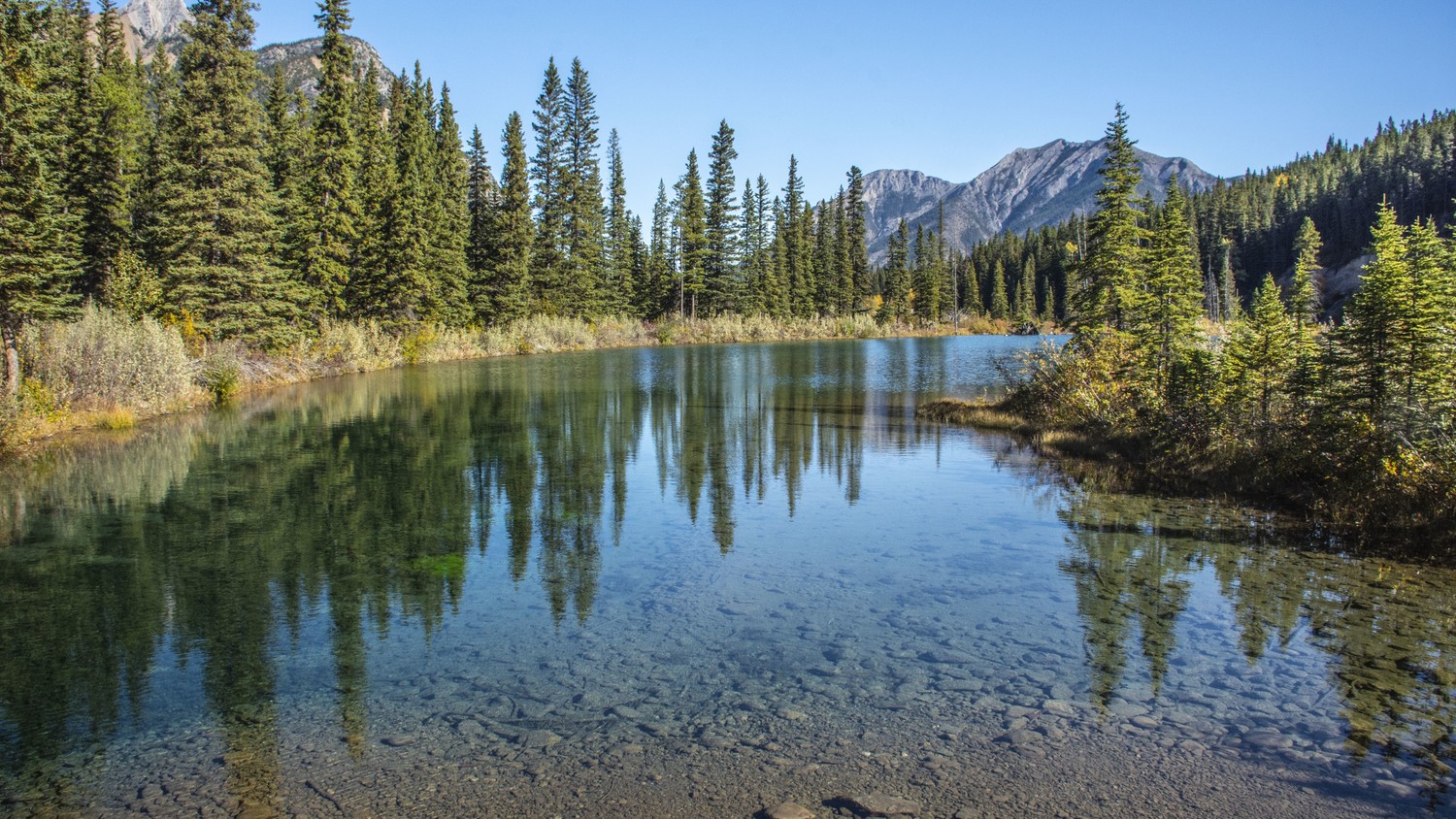 Stunning Natural Landscape with Mountain Reflection