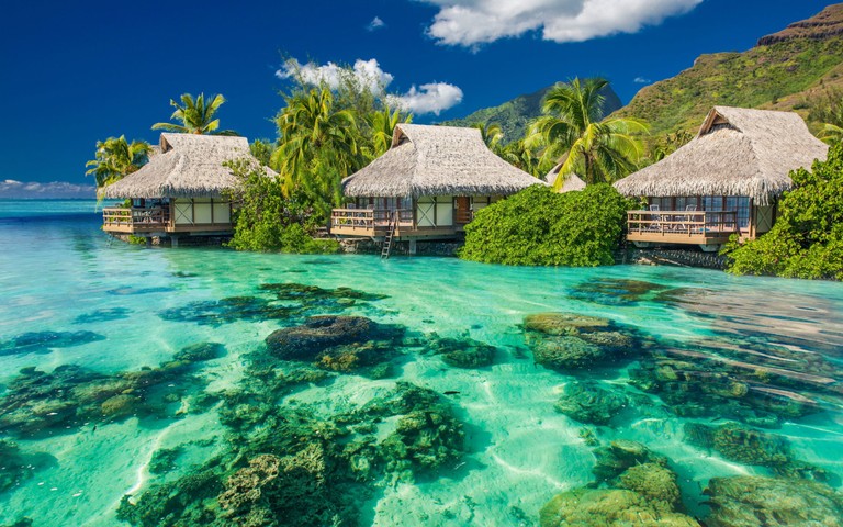 Bora Bora: Your Gateway to Tropical Bliss