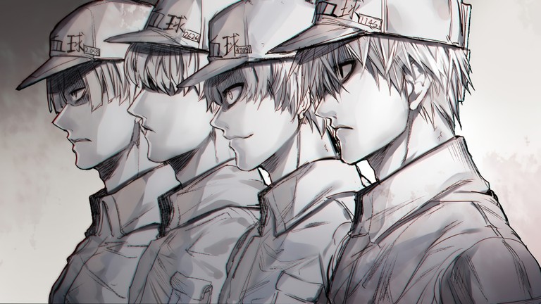 Beautiful Hataraku Saibou Wallpaper for Anime Lovers