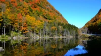 Breathtaking Autumn Reflection at a Tranquil Lake