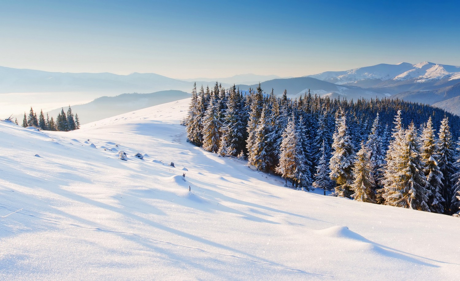 Explore Our Breathtaking Winter Wonderland Wallpaper