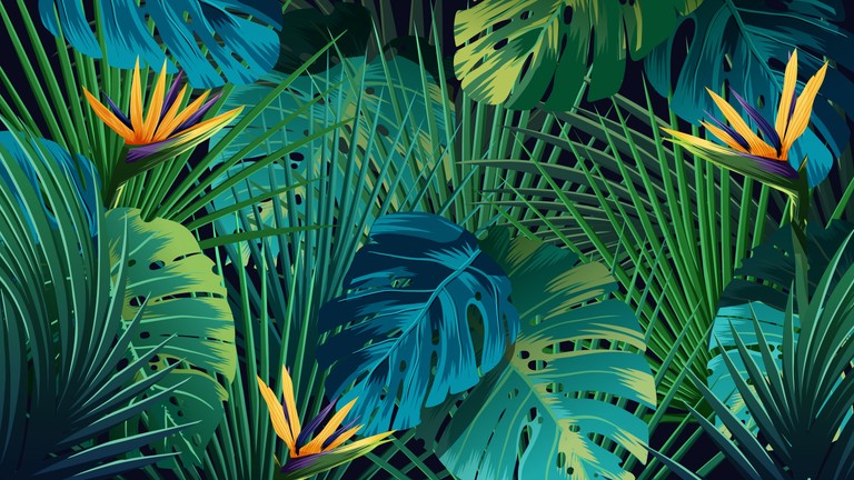 Explore Our Vibrant Tropical Plant Wallpaper