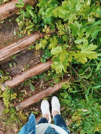 Découvrez notre fond d'écran naturel avec des chaussures et des feuilles