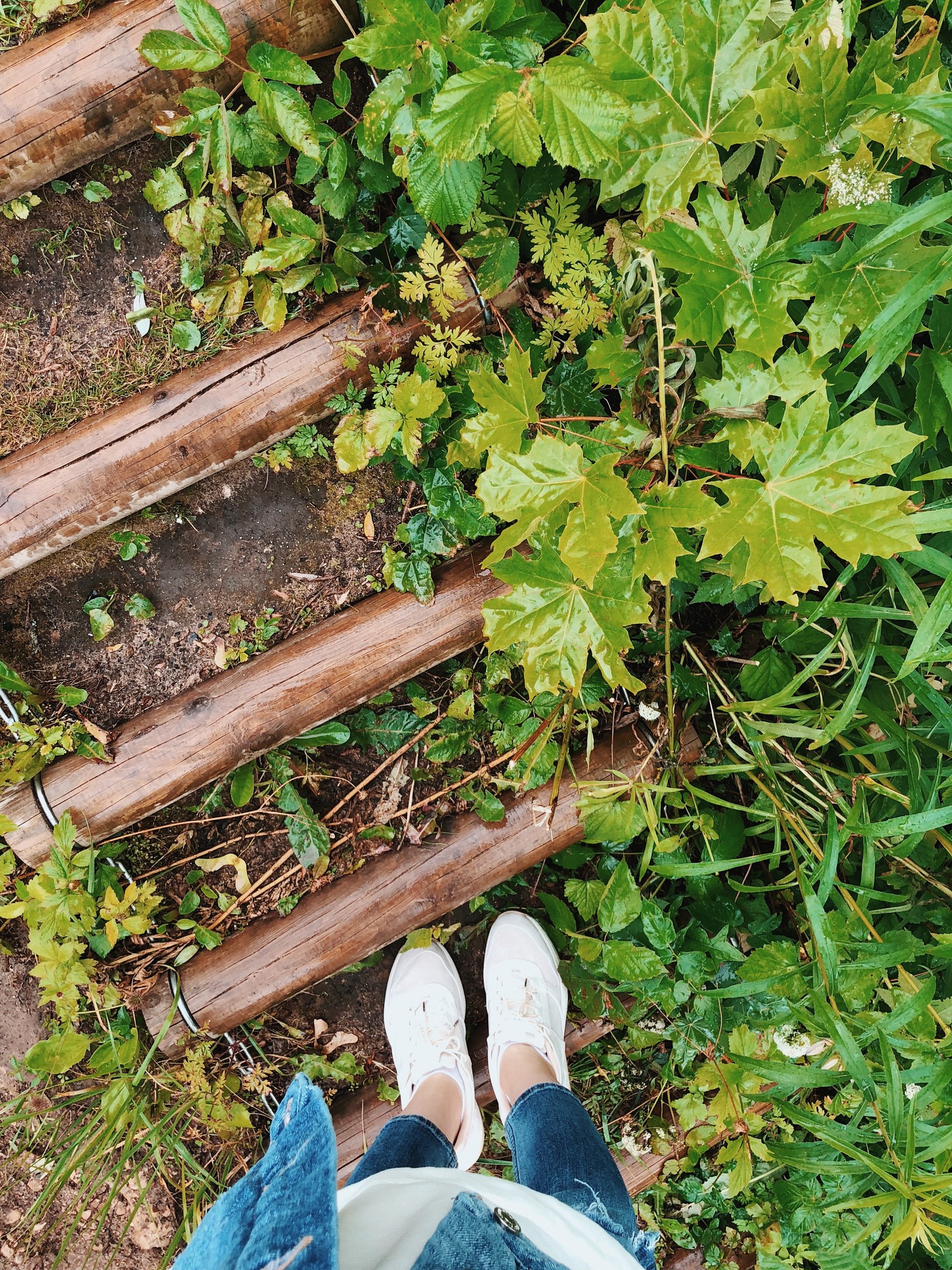 Explore Our Nature Wallpaper Featuring Shoes and Leaves