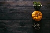 Superbe Fond d'Écran de Citrouille pour Thanksgiving