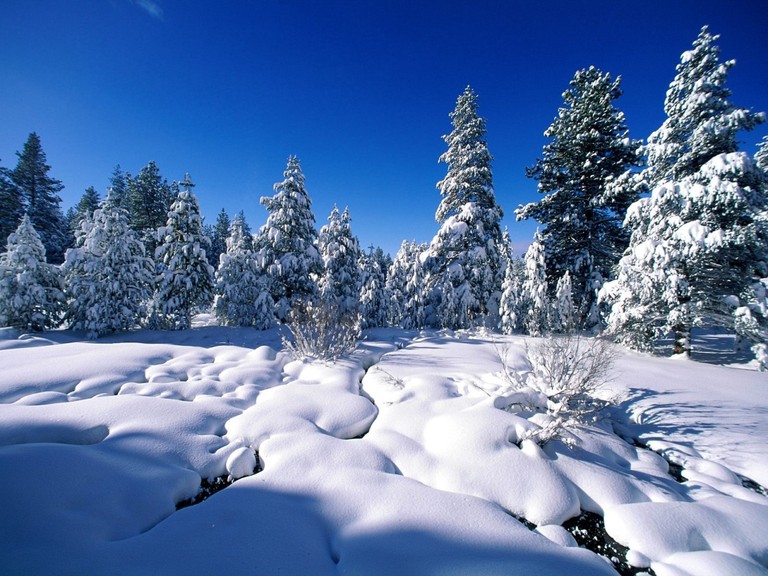 Download Stunning Winter Wonderland Wallpaper