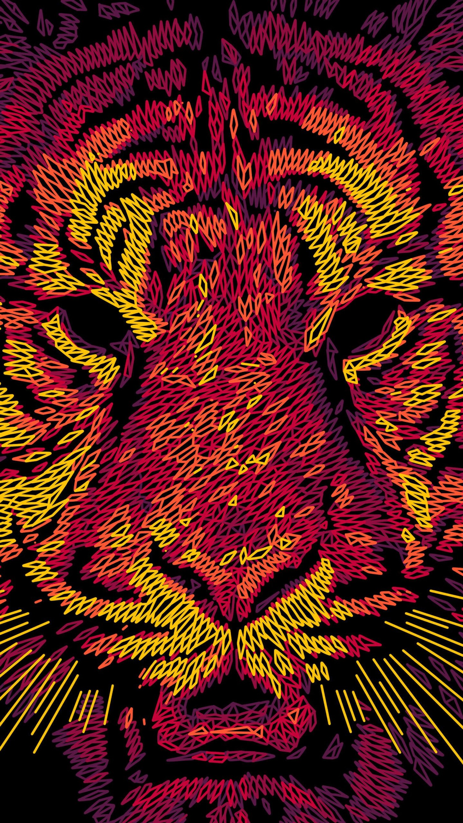 Explore the Striking Tiger Pattern - Close Up Art