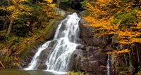 Explore the Serenity of This Beautiful Waterfall