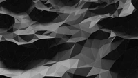 Explore the Intricate Beauty of Black and White Low Poly Design