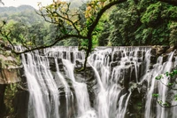 Découvrez le Majestueux Fond d'Écran de Cascade