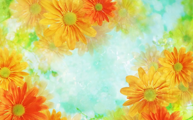 Stunning Yellow Floral Wallpaper Featuring Gerbera and Sunflowers