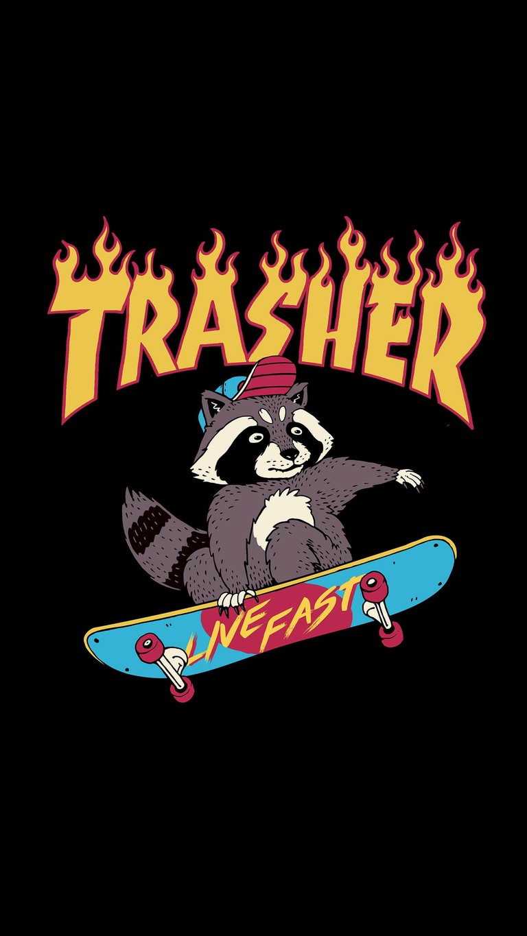 Vibrant Skateboarding Trash Panda Wallpaper