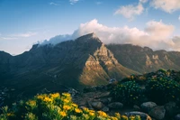 Magnifique Fond d'Écran des Montagnes de Cape Town