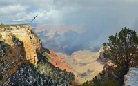 Téléchargez Notre Magnifique Fond d'Écran du Grand Canyon