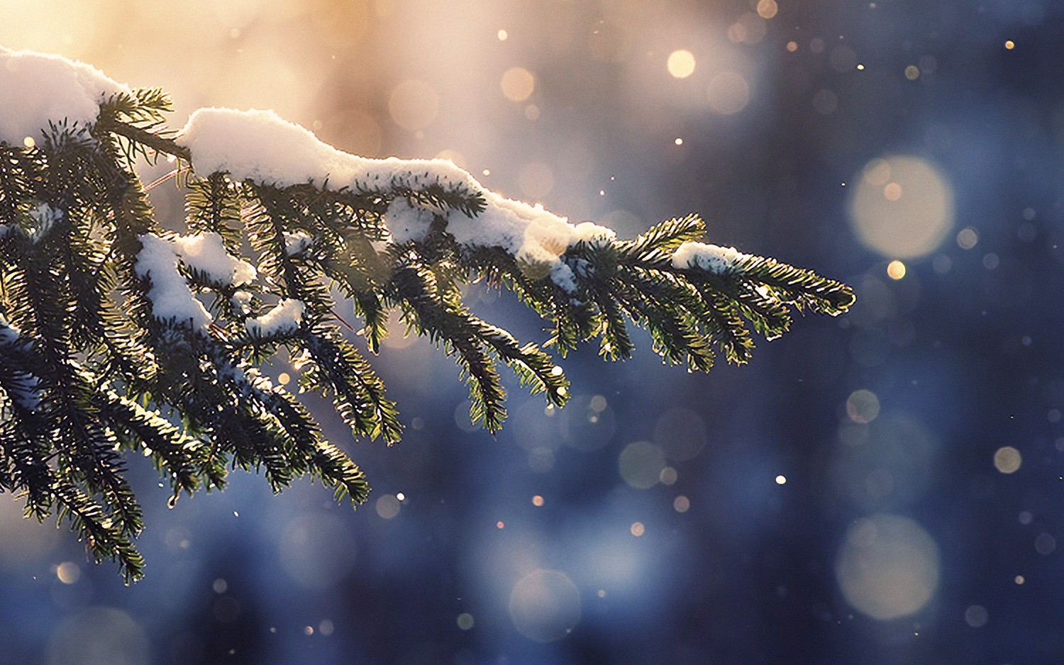 Beautiful Winter Wonderland Wallpaper