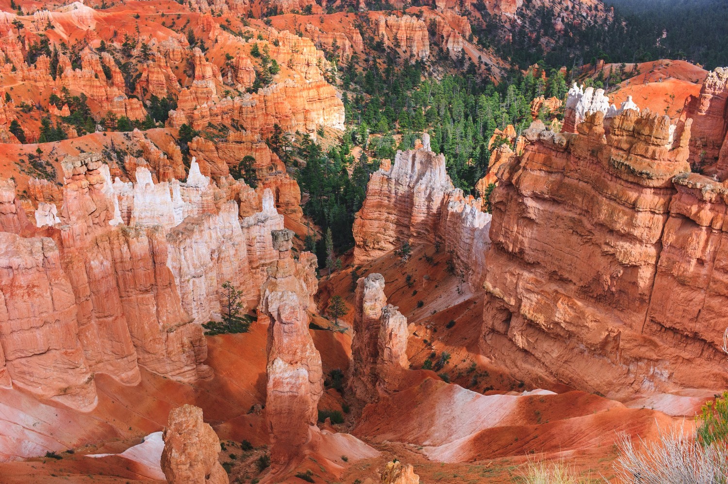 Explore the Majestic Bryce Canyon National Park Wallpaper