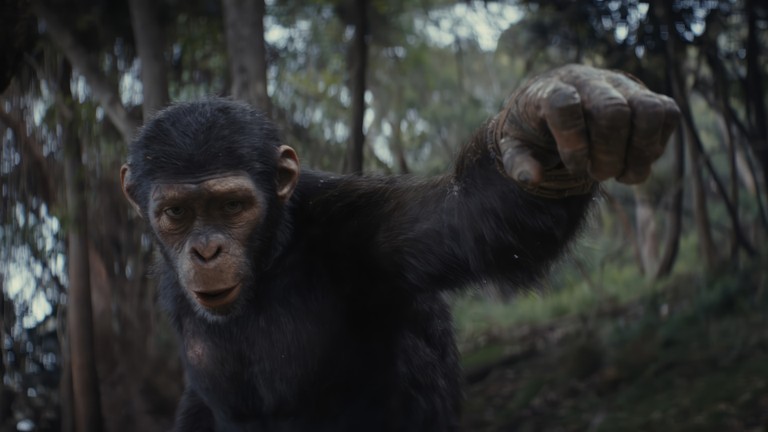 Explore Stunning Wallpapers of Noa from Kingdom of the Planet of the Apes