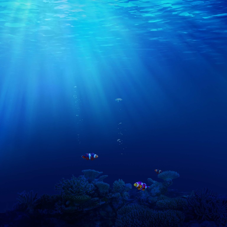 Explore the Depths with Our Beautiful Underwater Wallpaper