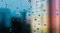 Capture the Beauty of Rain with Our Unique Wallpaper