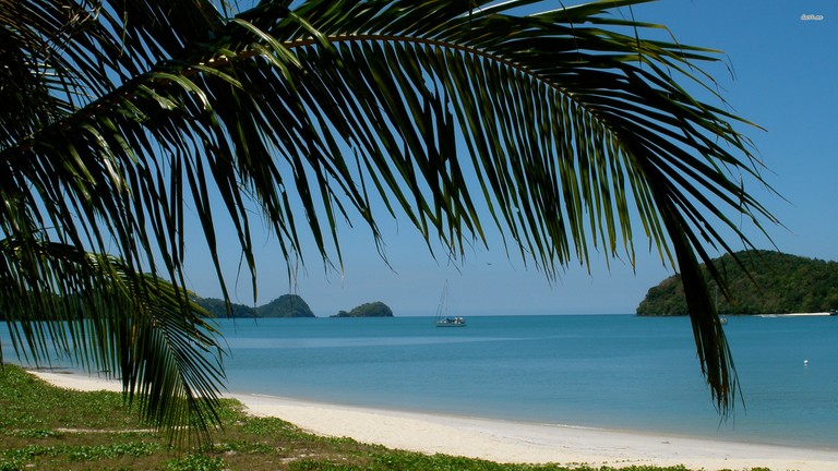 Beautiful Tropical Beach with Palm Trees and Clear Water