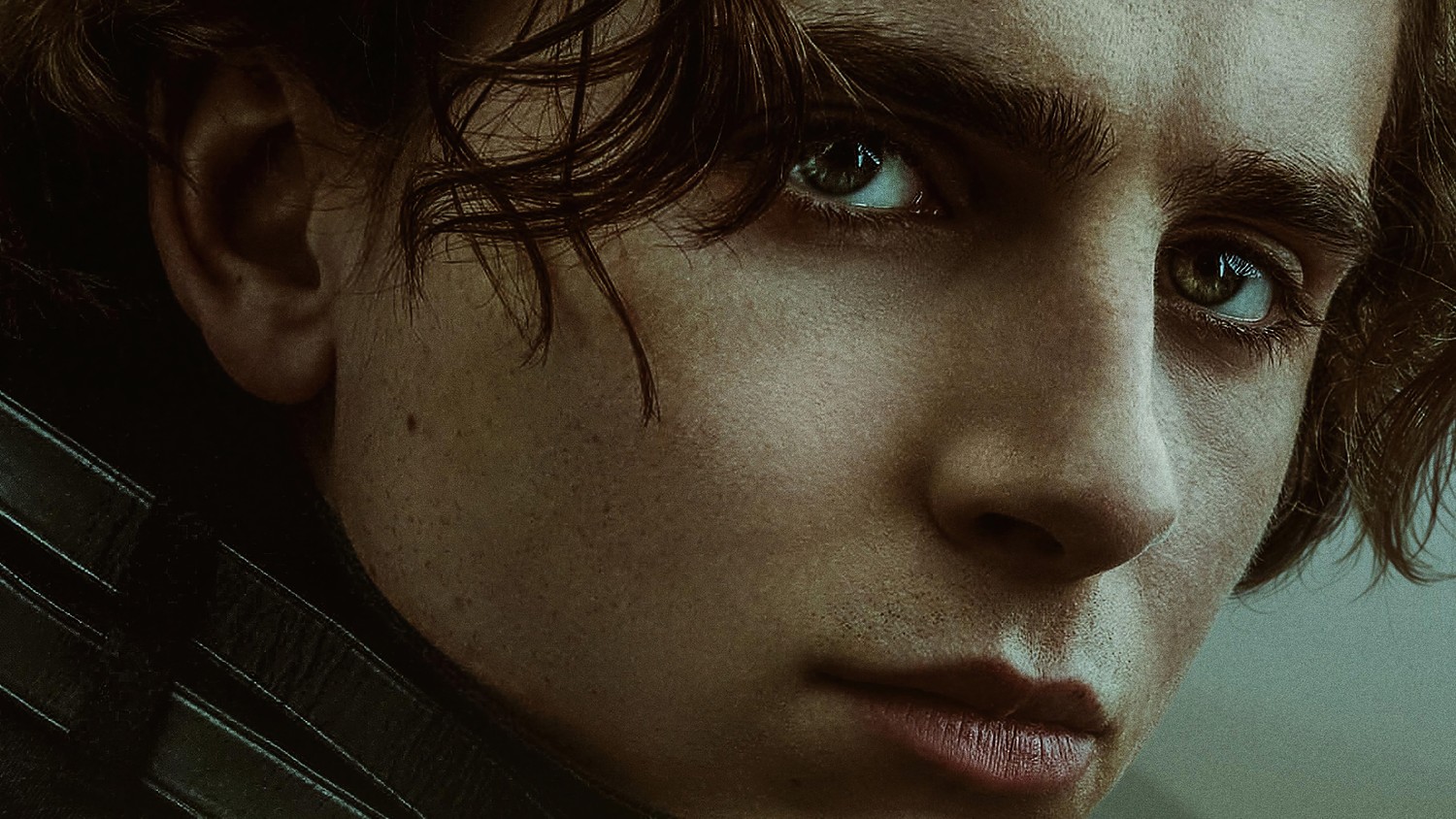 Fond d'écran Dune - Timothée Chalamet en Paul Atreides