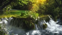 Experience the Serenity of Plitvice Lakes National Park