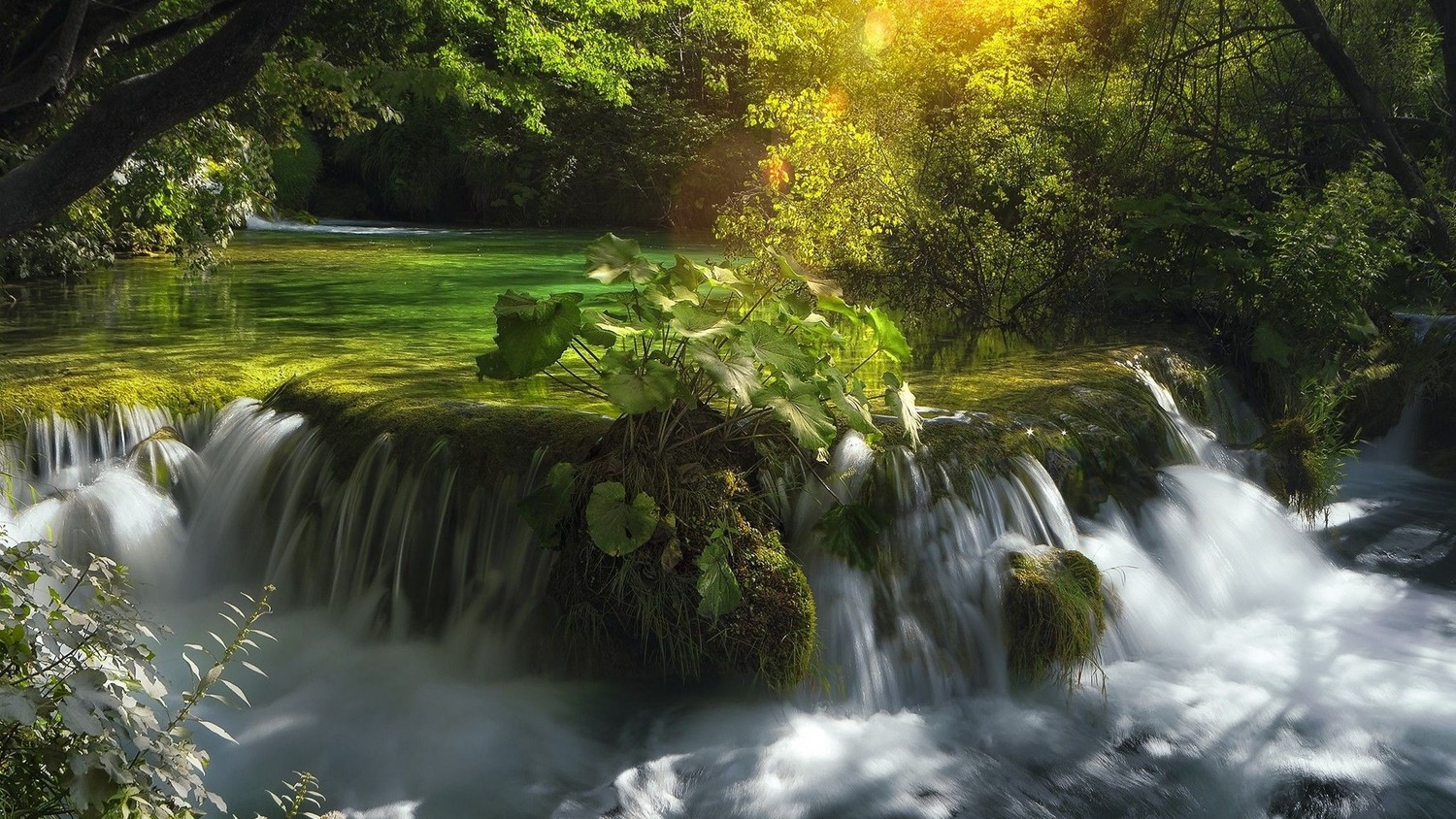 Experience the Serenity of Plitvice Lakes National Park