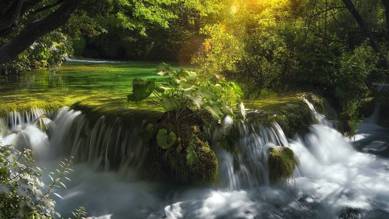 Experience the Serenity of Plitvice Lakes National Park