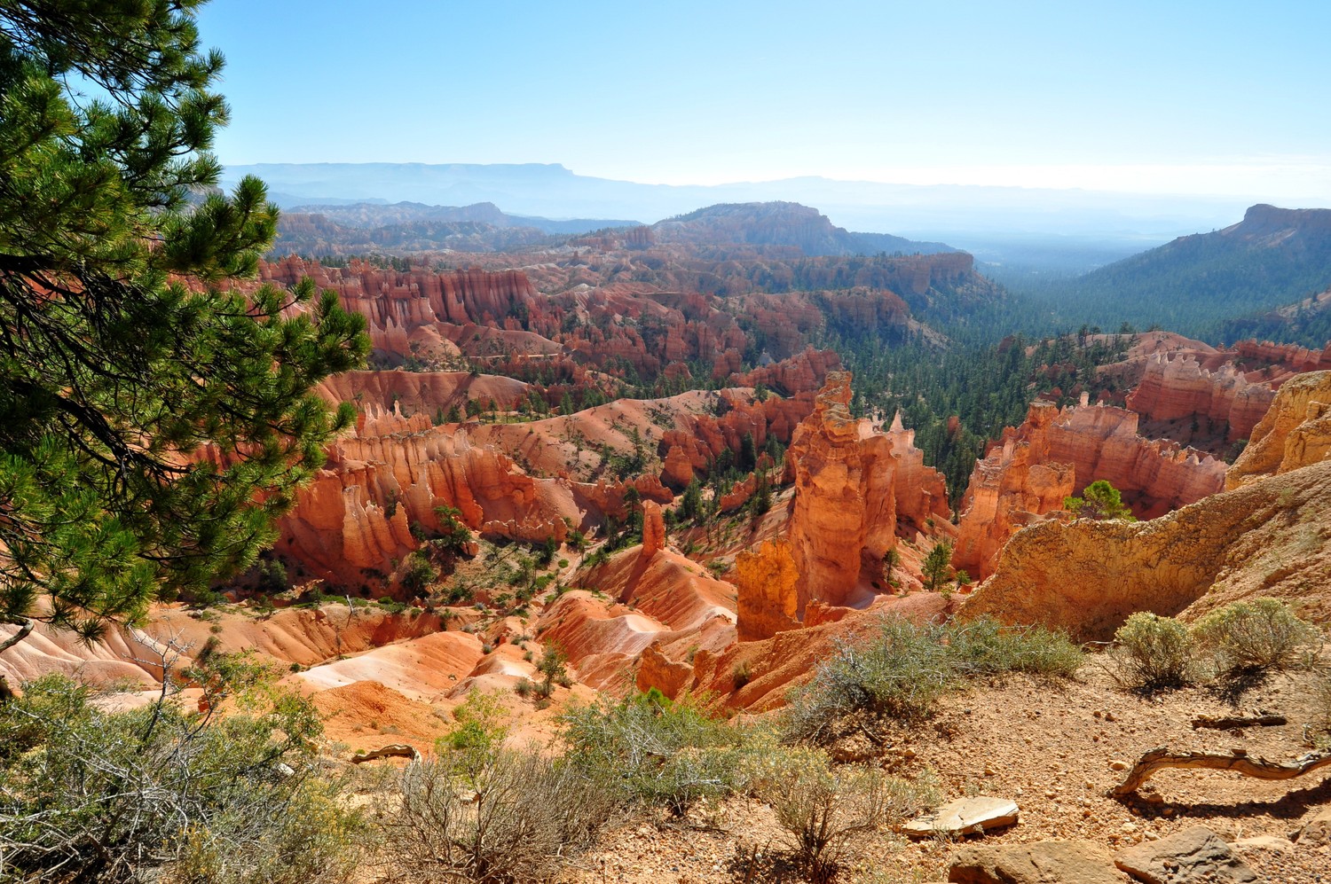 Explora la belleza del Parque Nacional Bryce Canyon