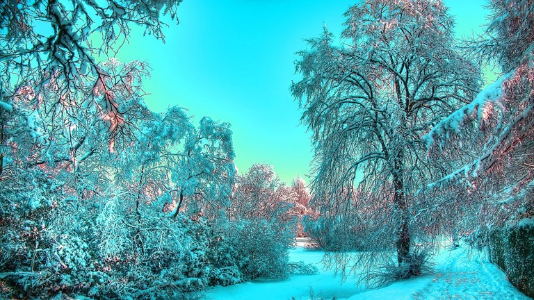 Download Our Breathtaking Winter Wonderland Wallpaper