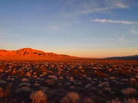 Explorez le Majestueux Fond d'Écran de Paysage Desert