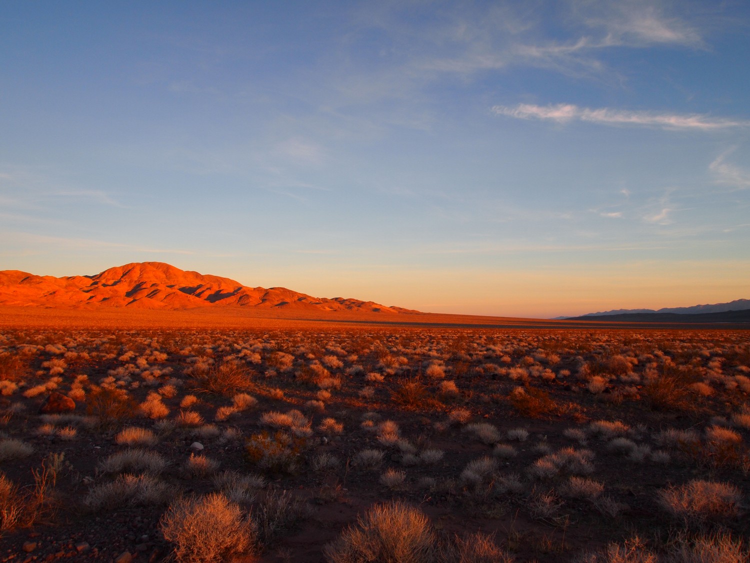 Explore the Majestic Desert Landscape Wallpaper