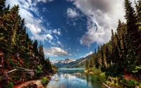 Descarga Impresionante Fondo de Pantalla del Parque Nacional Yosemite