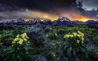 Vues imprenables du parc national de Grand Teton