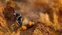 Download Our Epic Downhill Mountain Biking Wallpaper