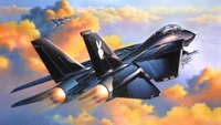 Explora el Fondo de Pantalla de Grumman F-14 Tomcat