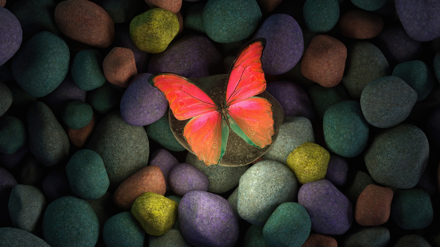 Explore Our Colorful Butterfly on Pebbles Wallpaper