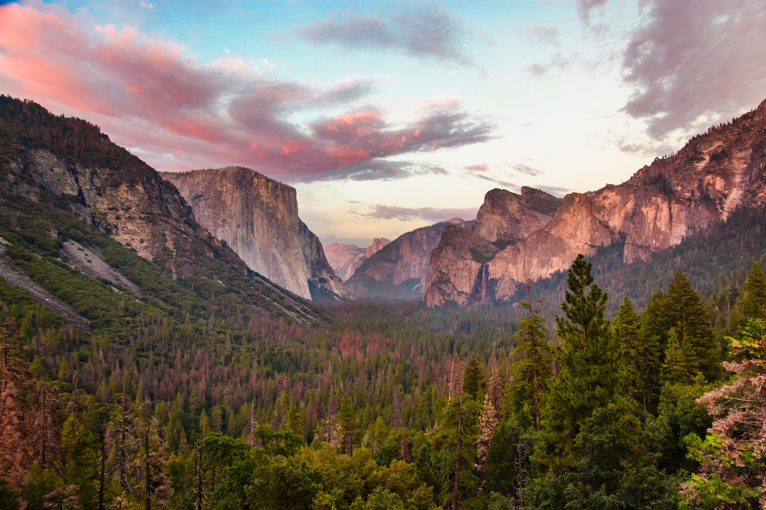 Explore the Beauty of Yosemite National Park