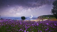 Téléchargez notre magnifique fond d'écran de ciel nocturne lavande