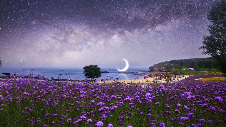 Download Our Beautiful Lavender Night Sky Wallpaper