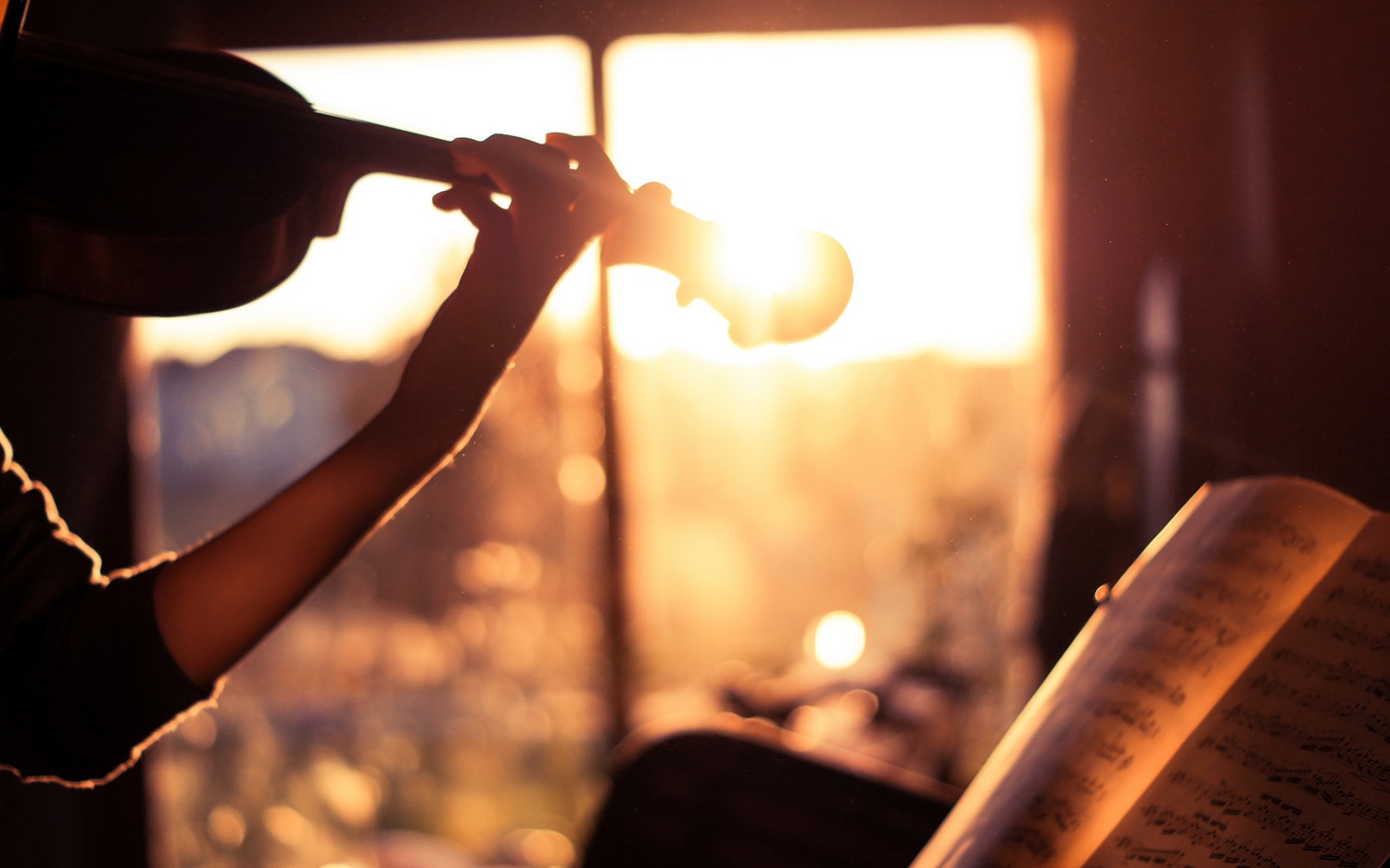 Violin in Backlighting: A Beautiful Evening Scene