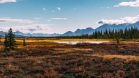 Explorez des Paysages Naturels Époustouflants en Alaska