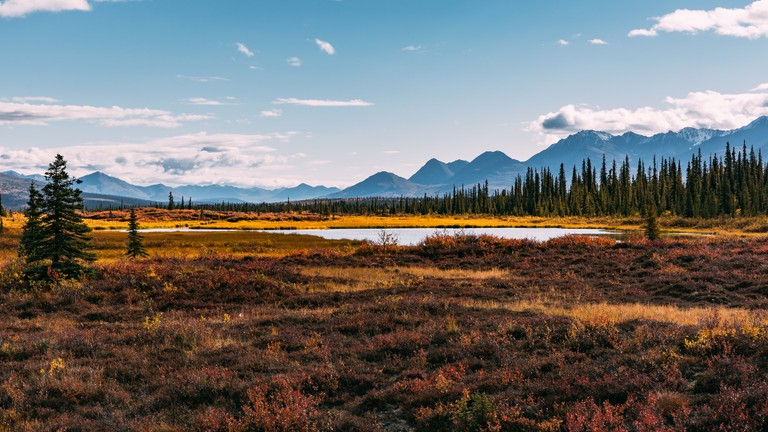 Explore Breathtaking Natural Landscapes in Alaska