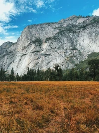 Explora la Belleza del Valle de Yosemite