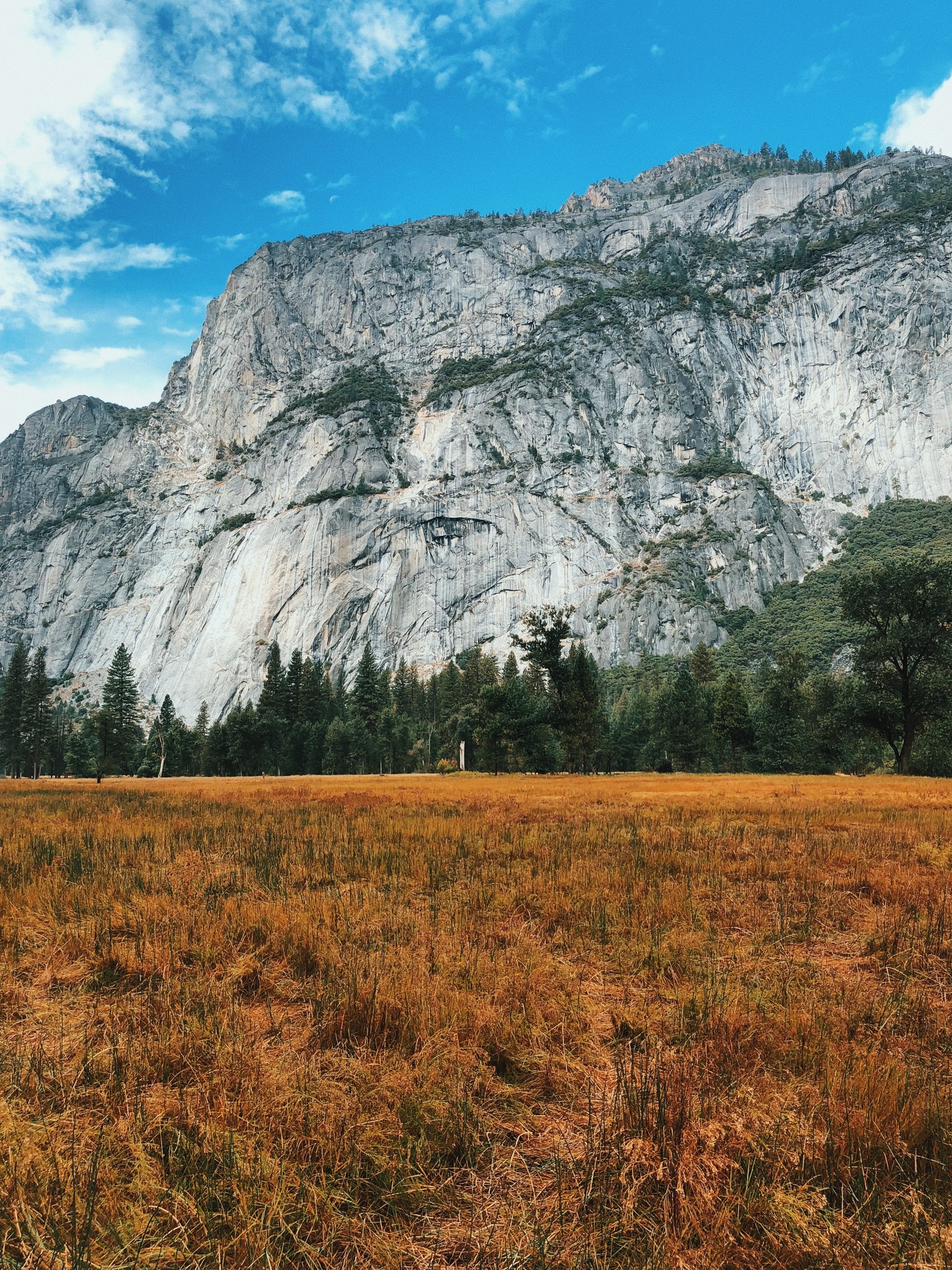 Explorez la Beauté du Vallée de Yosemite