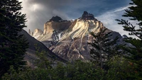 Découvrez le Magnifique Parc National Torres del Paine